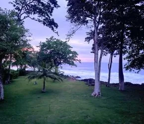 View of the ocean and palm trees in Capurganá, Colombia