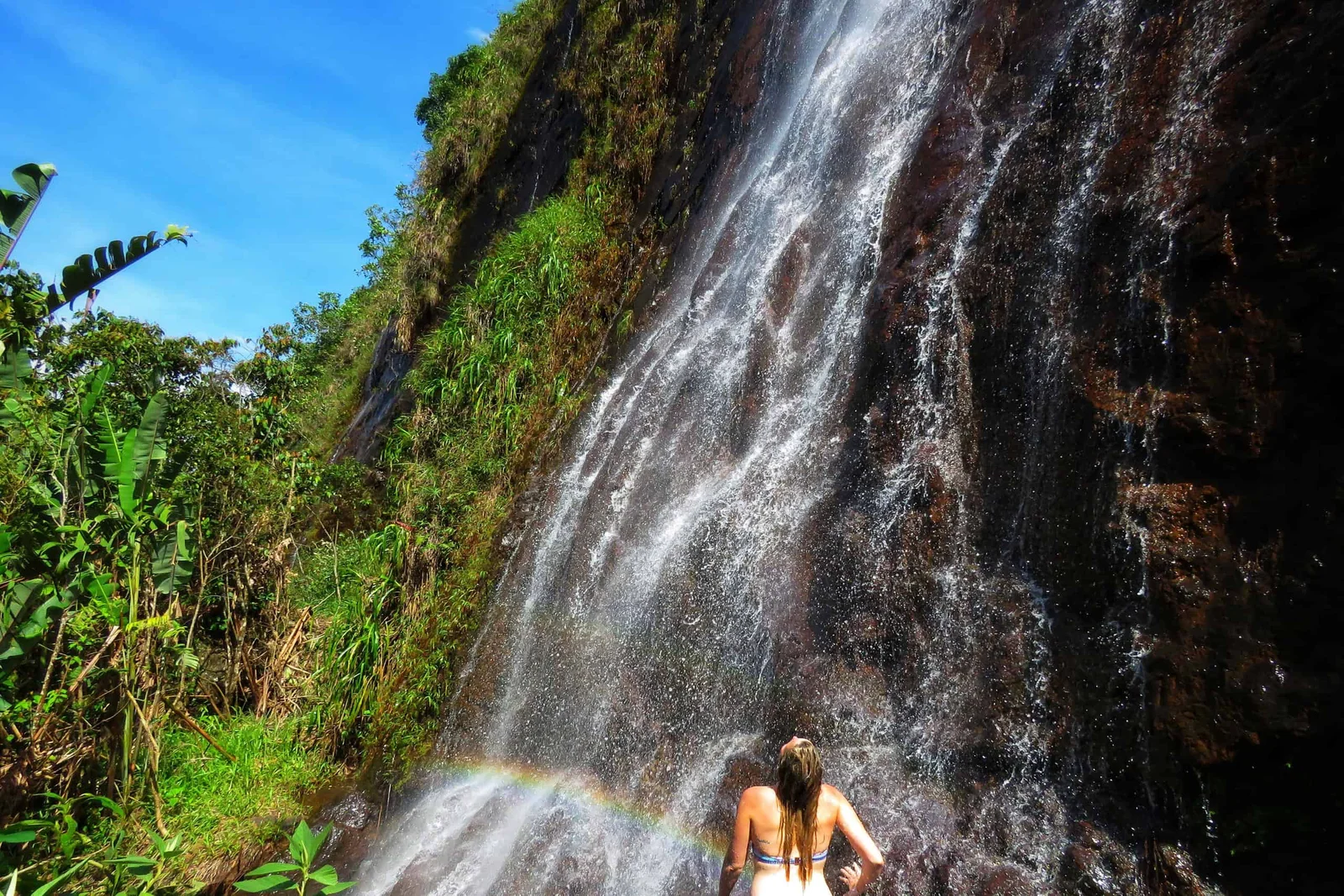 Visite de la plus belle ferme de café au monde